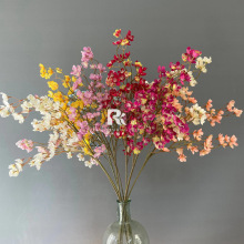 ��c���滨���ܸ�֦�O�������滨�D÷��Y��픻����¿�����·����