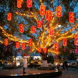 灯笼;LED装饰灯;投光灯