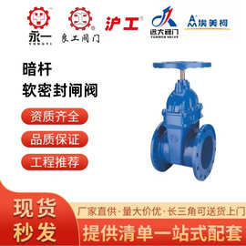 沪工良工沪航远大埃美柯阀门中核苏阀软密封闸阀Z45X-16Q弹性座封