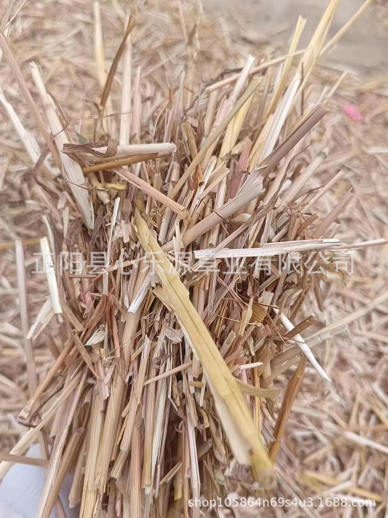 微信图片_20240530235027