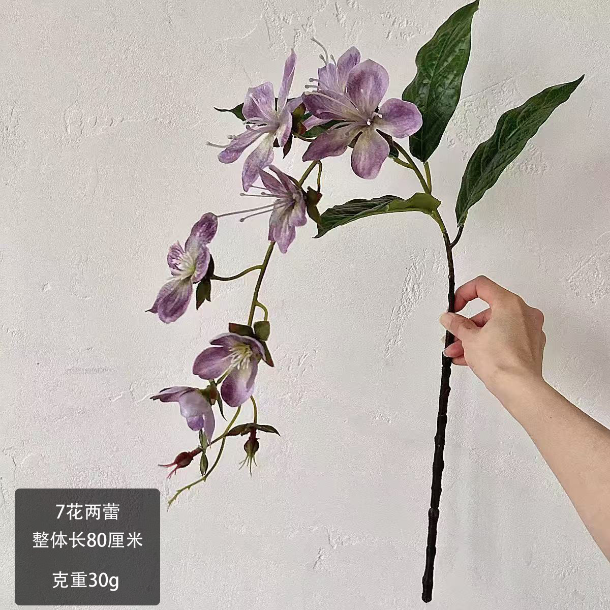 보라색