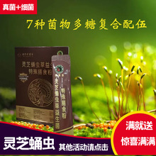 �������`֥Ӽ�x��������������ʳ�۳����c���p���غ��B�cθ������