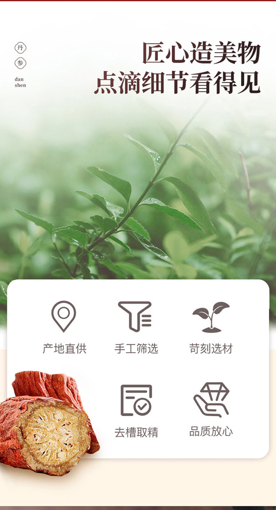 Dried Dan Shen Root Segments Salvia Miltiorrhiza 200g Jar for Herbal Tea and Decoction quality and texture