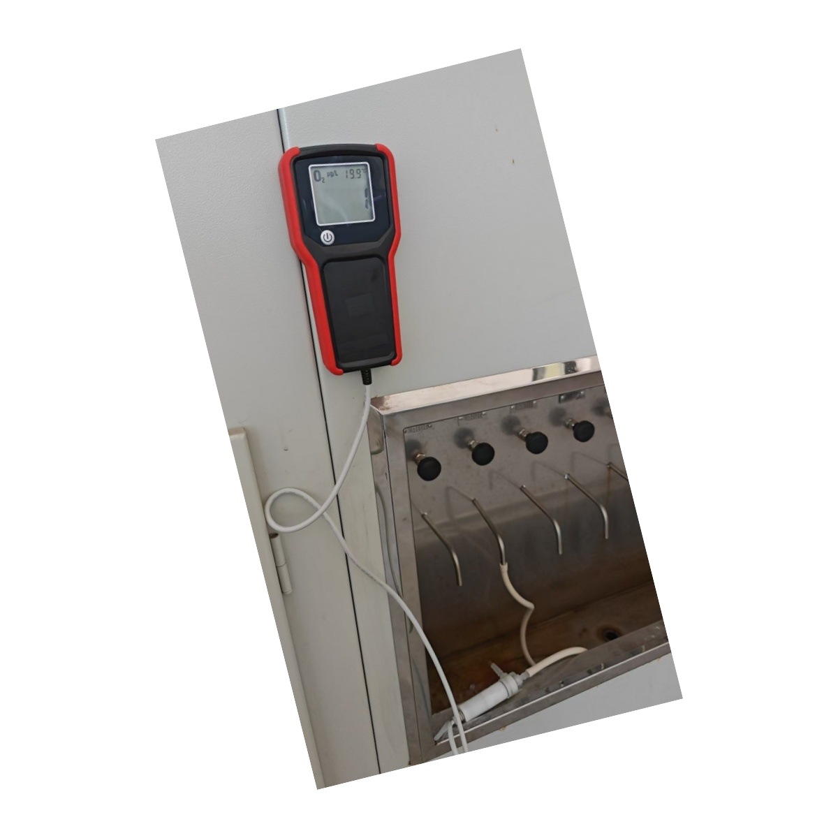 价可议-便携式溶解氧仪 型号:SM01-OX-12BGI库号M397691