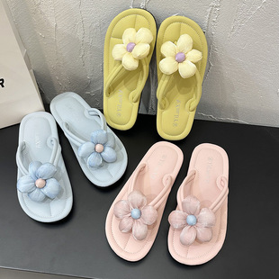 Fairy Flip-Flops Women's Summer Outer Wear 2024 New Style Dormitory Household Beach Flat Sandals Ins
