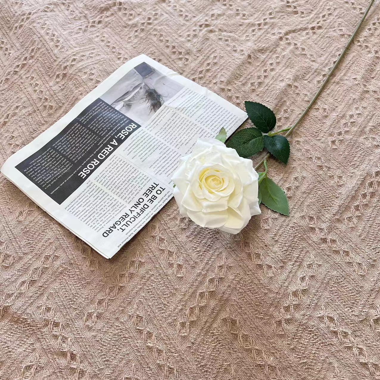 싱글 로즈-화이트