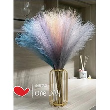 202655cm�JȔ����ëһ�w��z���W��ë�ݸɻ��Ҿӿ͏d�b��R��