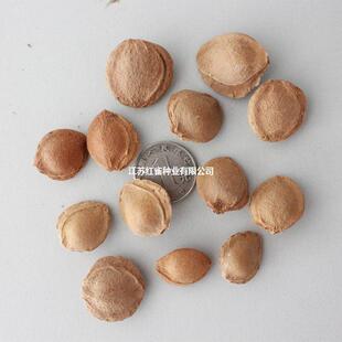 ��ľ�N��ë�ҷN��ɽ�ҷN��ɽ���ҷN��ɽ�ӷN��ɽ���ҷN���Ҙ�N��