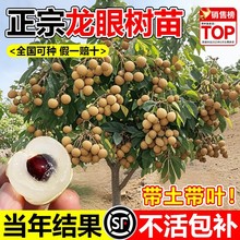 ���ۘ���޽�����ˮ�����烦�����Aʯ���Ϸ��ļ��Nֲ���Ԯ���Y��