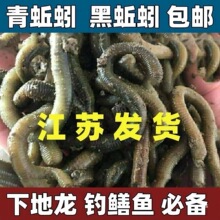 �����w������r���~�D�������D�����������S�X�T�D����