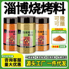 烧烤料调料调味料香辣原味麻辣炸串料烧烤料组合淄博烧烤料专用料