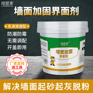 Anti-Sand Sealing Agent, Moisture-Proof and Moisture-Proof Wall Reinforcement Agent, Floor Solid Wall Solid Concrete Interface Agent, Waterproof Coating