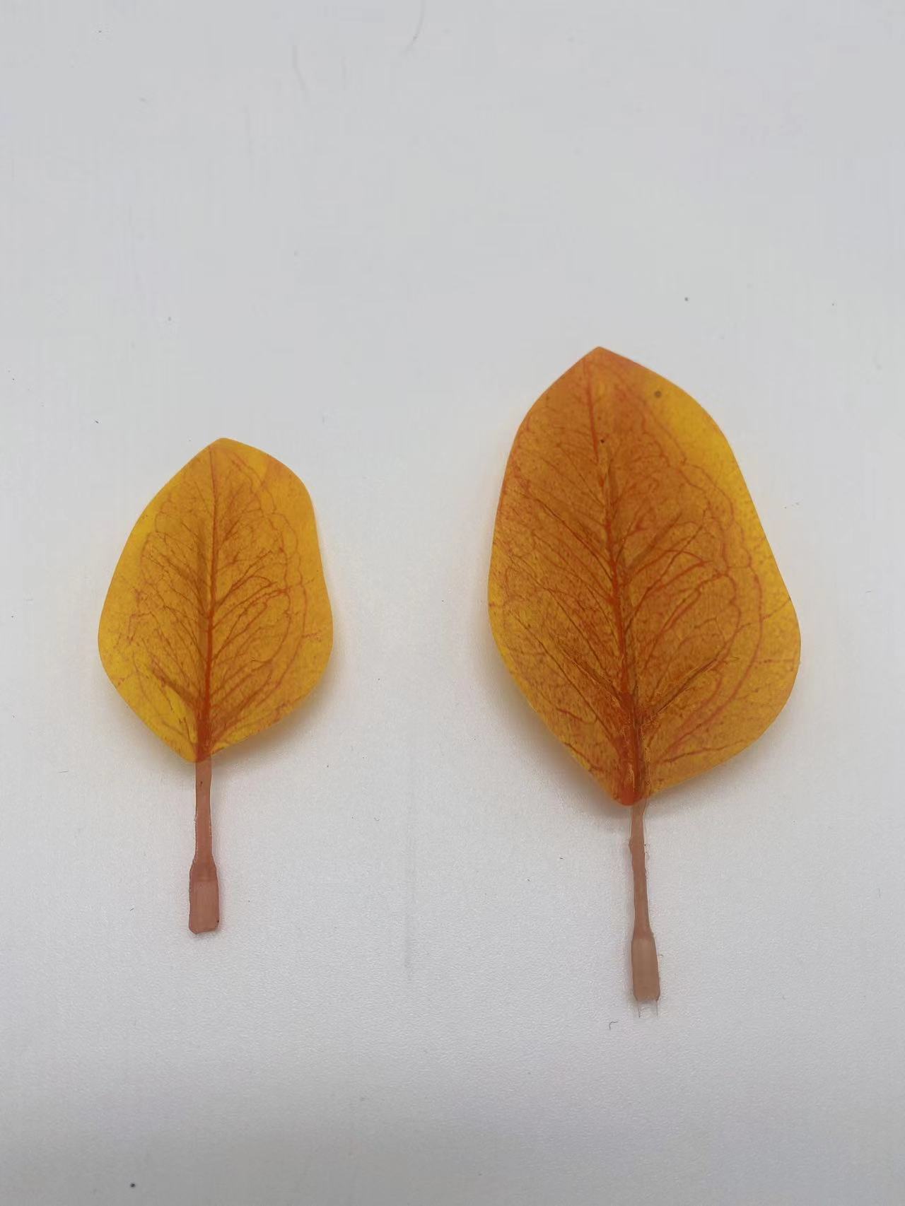 微信图片_202112181616122