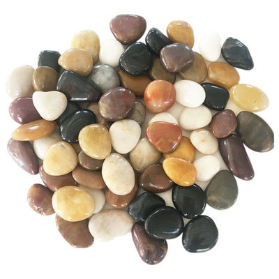 Pebble Large quantities 50 Paving courtyard Garden Landscaping Size Stone rough