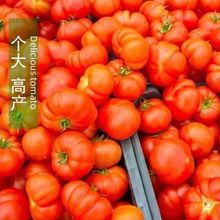 ���L�ٷ��ѷN�ӳ����R�㷬�ѷN���҃��ͺ����ѷN�Ӵ�ȫ�óԺÿ�