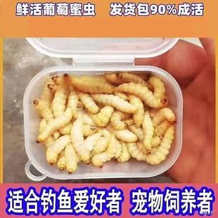 ly�����������x���w���x��Ϟ���۴����B�x�����،m���}���J���u��