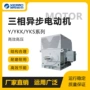 ykk湖南湘潭高压电动机