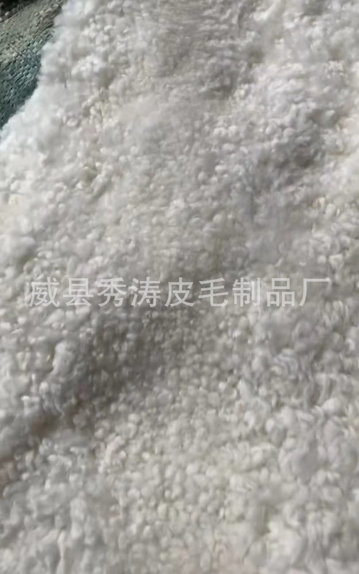 微信图片_20240902121458