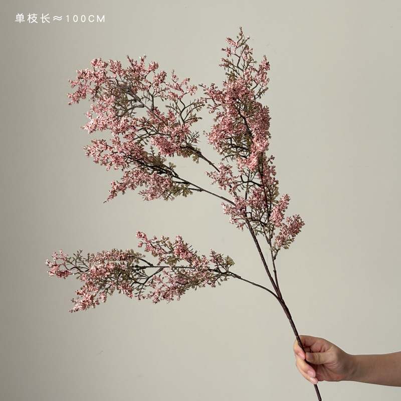 핑크 유화 라임 1개