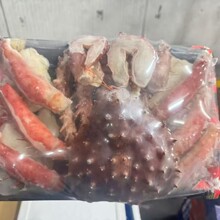 ����з���з�_з��з�⺣�r���ԭ�b�M��������з����ʳ