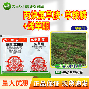 ӯ�x ��ǧ��&middot;��66%��Ȳ���ݰ����@�24%ϩ��ͪ�Ǹ����s�ݳ��݄�