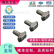 �W��T���ݽz�X�Ͳ�20/30/40/45ϵ��M5/M6/M8*10-40T�Ͳ�����˨