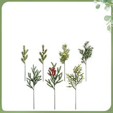 �羳�����}�Q��� �W���҃ȹ����ɹ����໨ƿ�廨�}�Q�b�