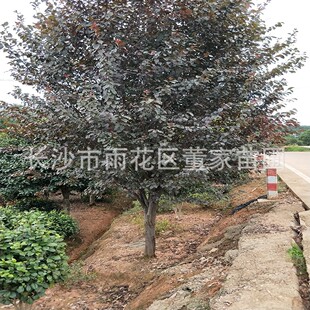 �����t�~�� ���~���� Ҏ��8�ַּt�~��G�����������l �����r��