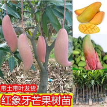 ��Ʒ������֦�������oâ������â����â�O��â�����箔��Y������