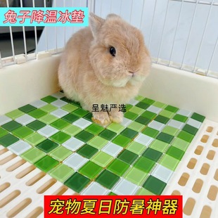 Pet Cooling Hamster Summer Cooling Summer Ice Mat Cooling Mat Guinea Pig Rabbit Cooling and Heat Avoidance