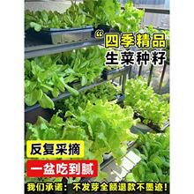 �������˷N���߲�����N���ﶬ�N����������ԷN���ļ��Nֲ�ͺ�ȫ