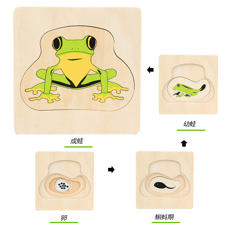 CPC de los niños de madera 3D animal digital tridimensional rompecabezas de crecimiento animal proceso de evolución rompecabezas juguetes de madera