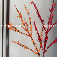 2026���������涬�����涬����ĭ������ҾӼt���Ӹ�Ͱ�廨����