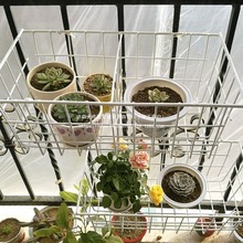 �Fˇ�ռ{�@�N����ʳ�ռ{������W���F�z��������������ռ{���̖