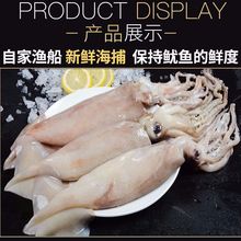 ���r�����~�r���Ұ�������~��ֻ�������������\�������r���l