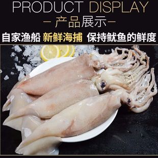 ���r�����~�r���Ұ�������~��ֻ�������������\�������r���l