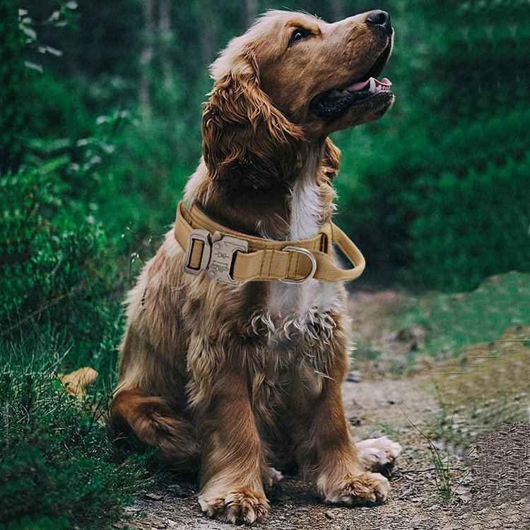 Tactical Dog Collars Outdoor Nylon Tethered Pet Neck Collars Military Dog Collars Medium Large Dog Training Dog Collars