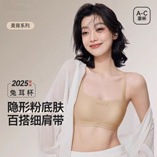 �������Ѓ���ŮС�ؾ۔n����2026�¿����m�o���[�η��´���������