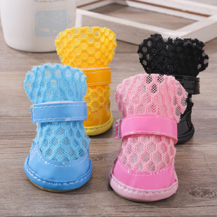 �ļ�͸��С����Ь�ӾW���Ь̩���F�e����С��Ȯ����Ь���_��4ֻ