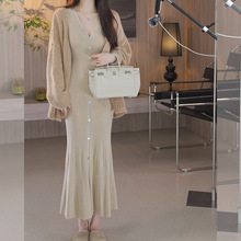 赫尔曼曲线气质羊毛V领针织修身打底连衣裙女秋