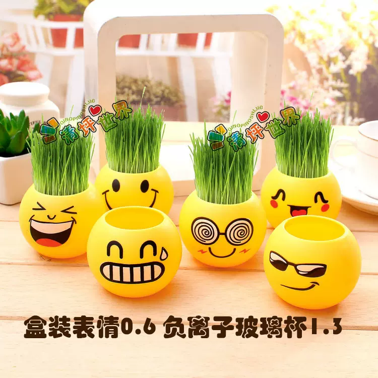 办公室盆栽草头娃娃炫酷表情 DIY玻璃瓶负离子迷你种植创意礼物