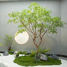 仿真枫树大型橱窗绿植造景室内仿生植物景观设计高端假树装饰落地