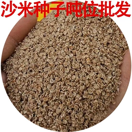 盆栽;种子;树苗