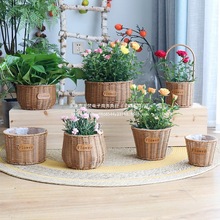 �����֯������ٱ໨���廨��������������ֲ��������������