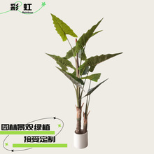 Gֲʺ߶pݿ͏dؔ[쾰ֲl