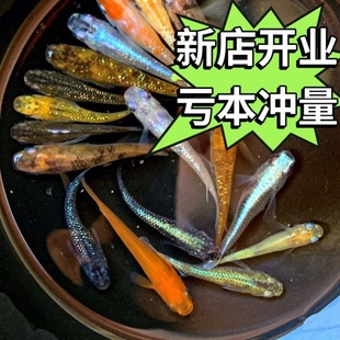 �^�����F�^�p�~ħ���~��ˮ��ˮС���\�����~���������B�׻�