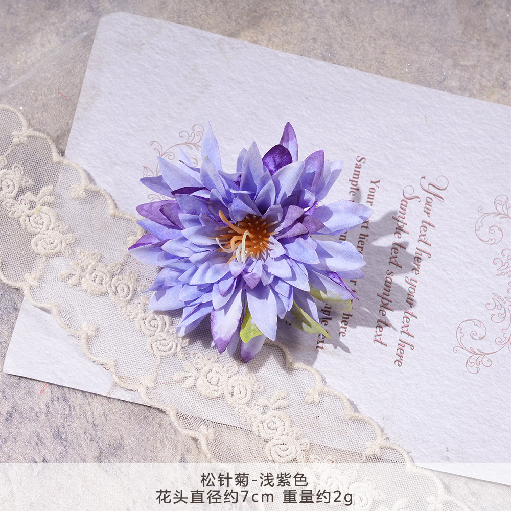 XH2-솔잎국화-연보라색