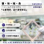 紧致女士妇科定制丸