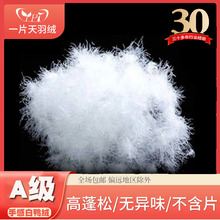 批发手感A级羽绒 羽丝混合系列水洗绒羽绒填充物白鸭绒