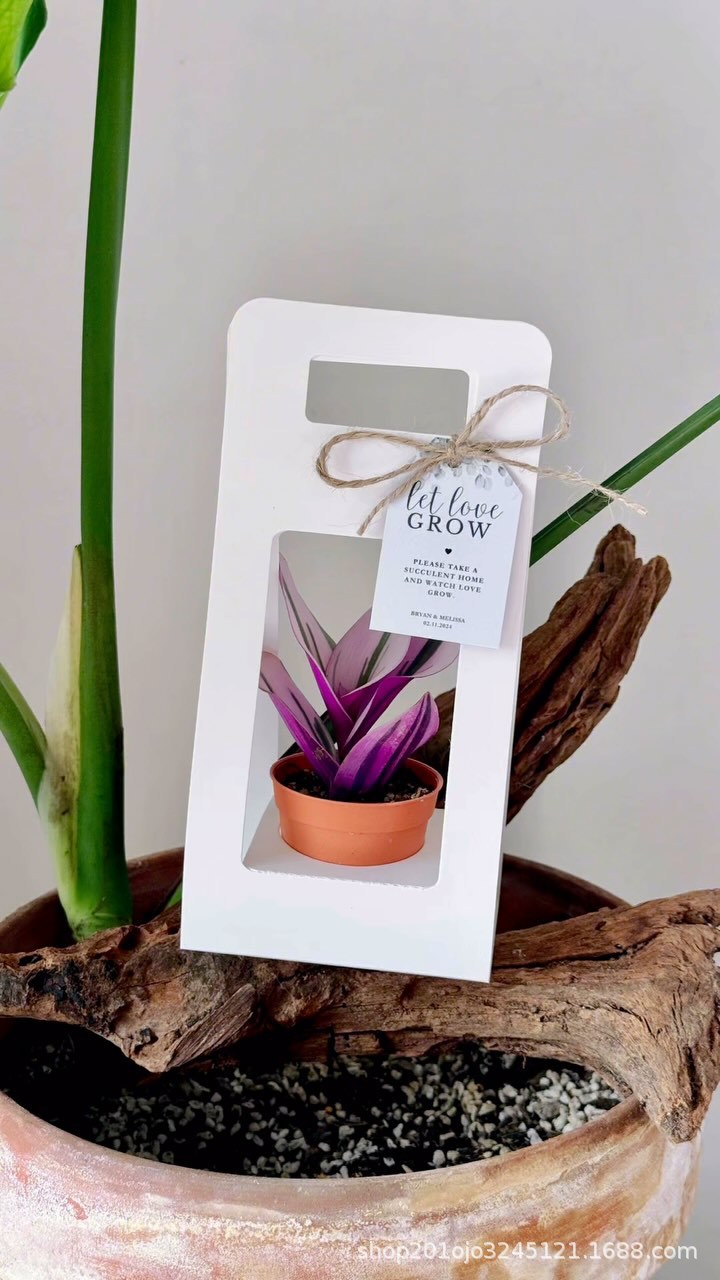 小小盆栽无挡板 (6).jpg